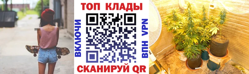 Сколько стоит Нязепетровск Галлюциногенные грибы  Cocaine  Alpha-PVP 