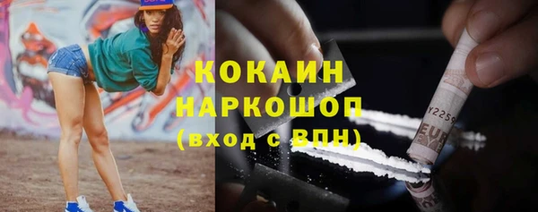 спайс Арсеньев