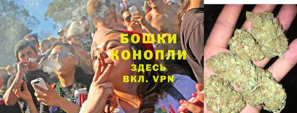 спайс Арсеньев
