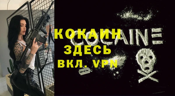 спайс Арсеньев